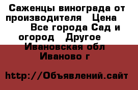 Саженцы винограда от производителя › Цена ­ 800 - Все города Сад и огород » Другое   . Ивановская обл.,Иваново г.